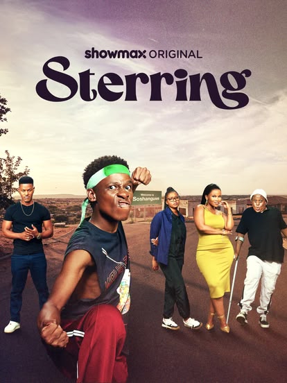 Steering (2024) 1