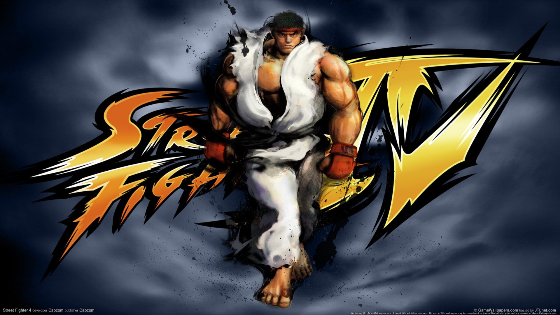 Street Fighter IV: The Ties That Bind (2009) 1