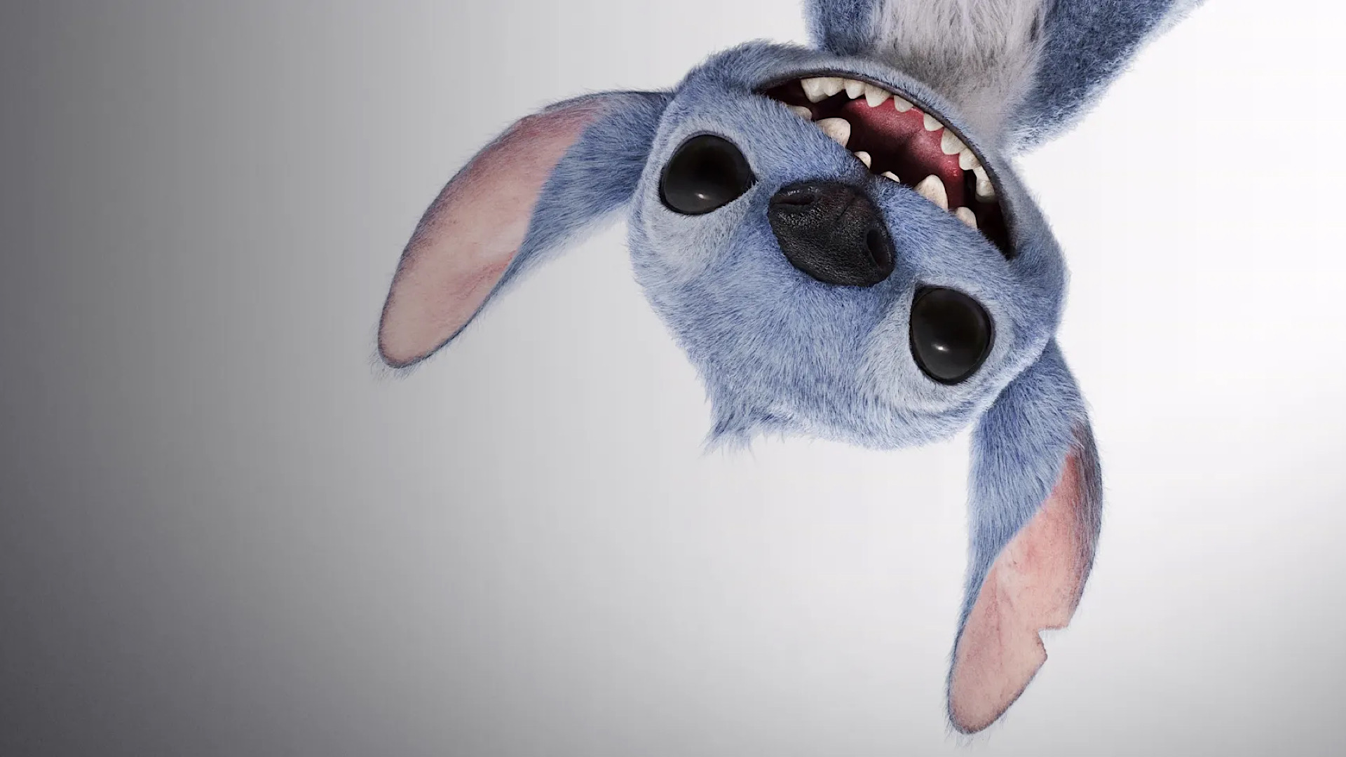 Lilo & Stitch (2025) 1