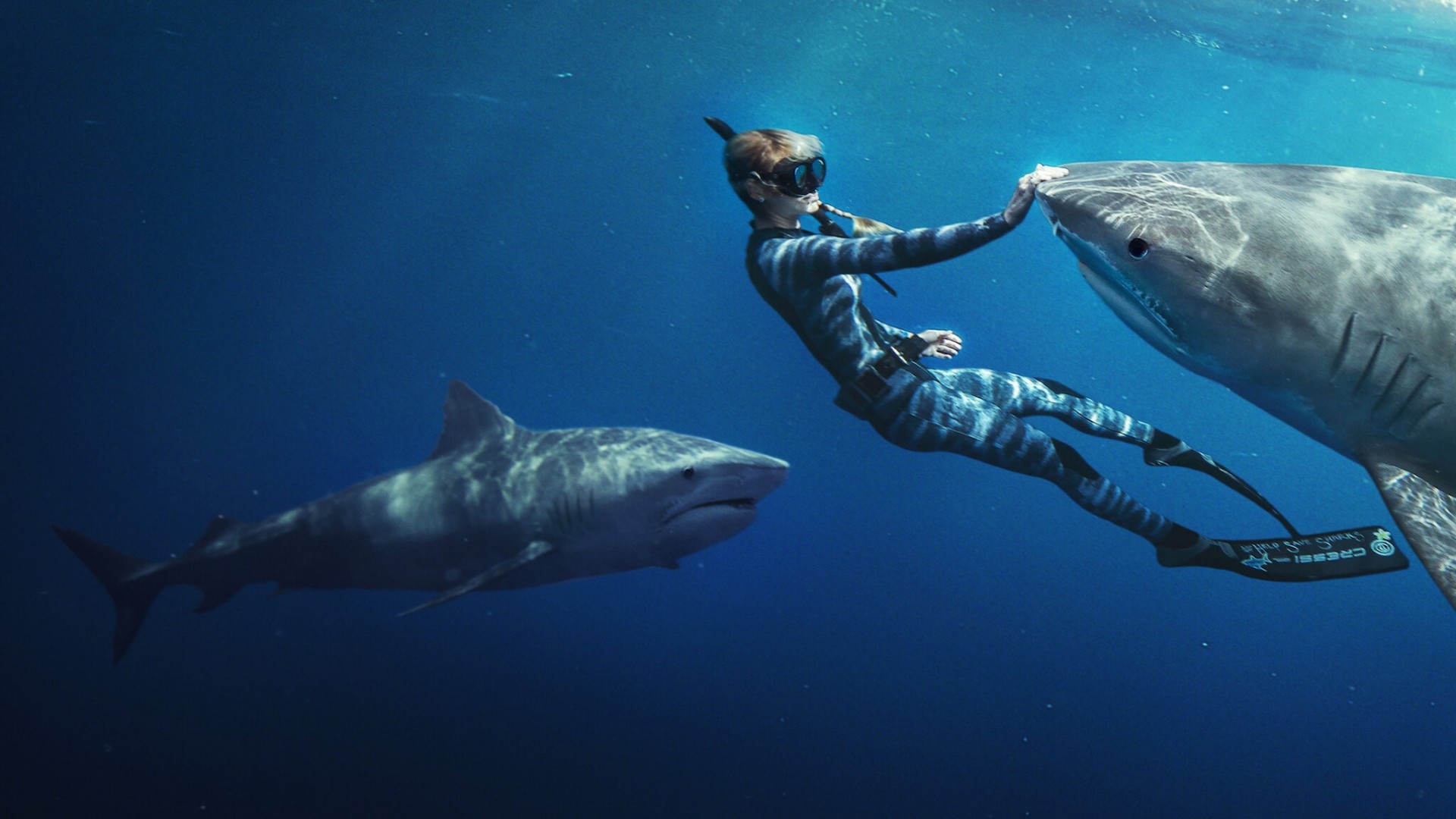 Shark Whisperer (2025) 1