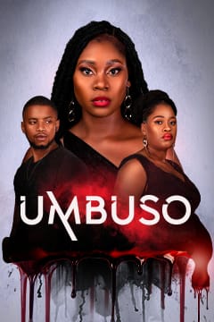 Umbuso S01 540P <span class="status-badge status-completed">COMPLETED</span>